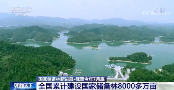 截至2021年7月底 全国累计建设国家储备林8000多万亩